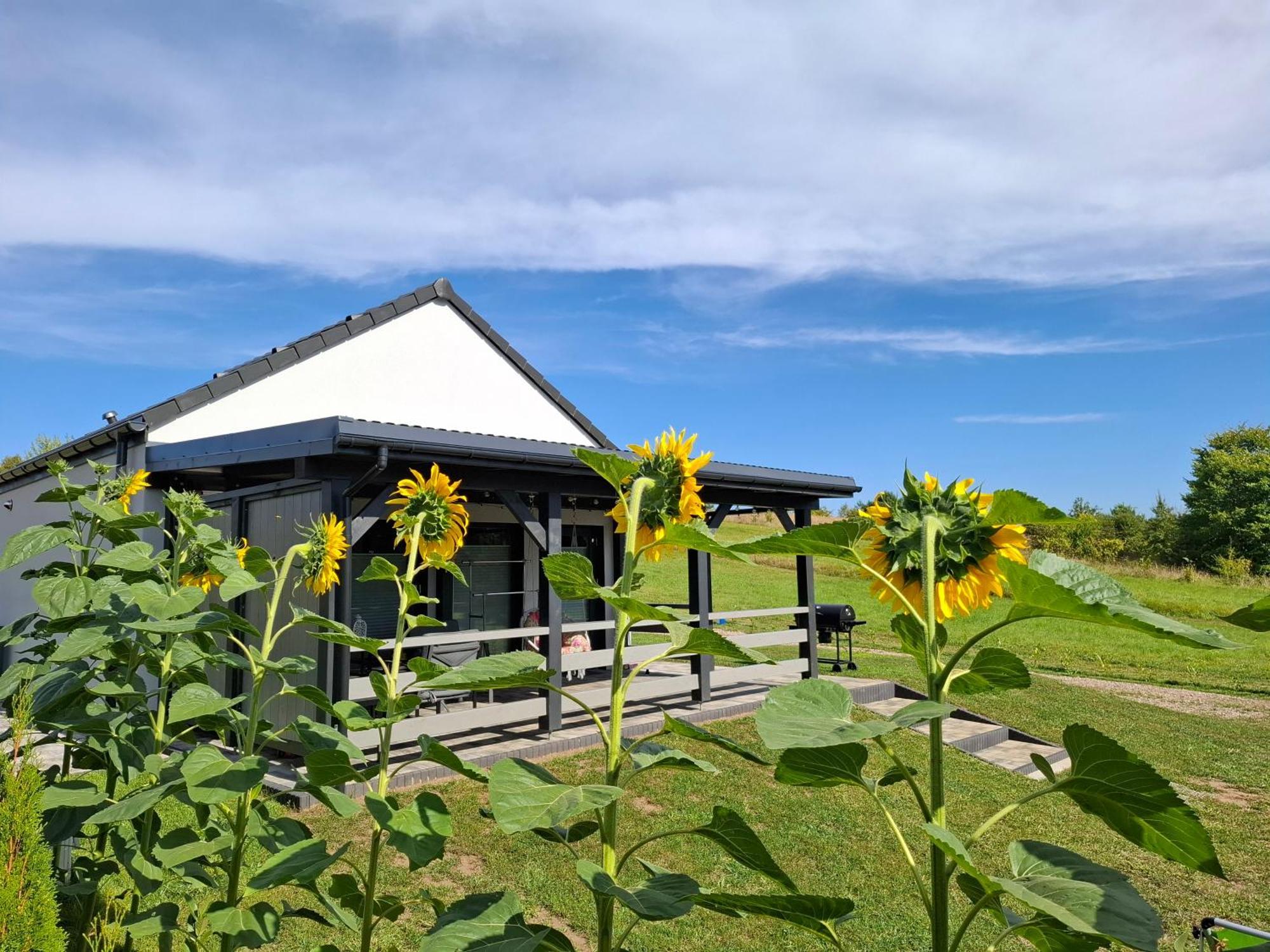 Antonowka Holiday home Lubieszewo (Drawsko)