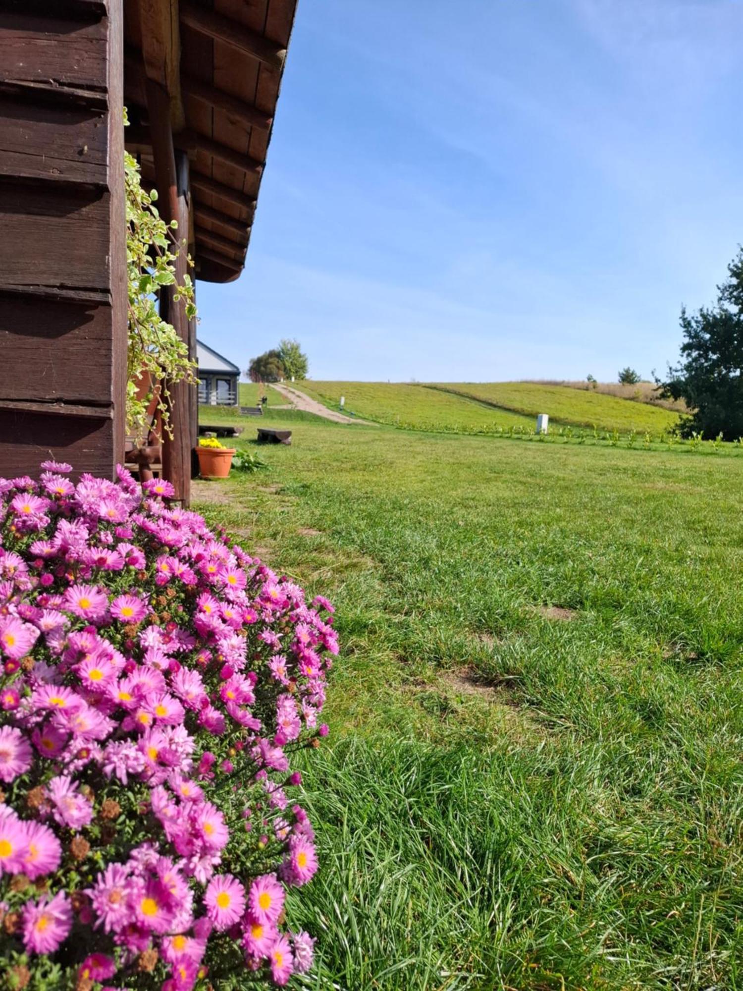 Antonowka Holiday home *